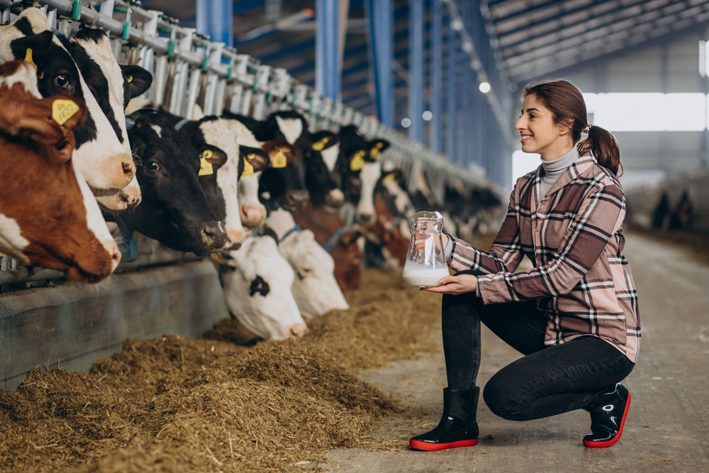 La leche de vaca y sus beneficios para la salud